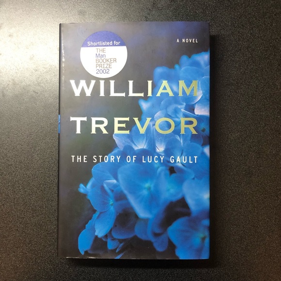 🍑 3 / 20$ 🍑 The Story of Lucy Gault - Picture 2 of 4